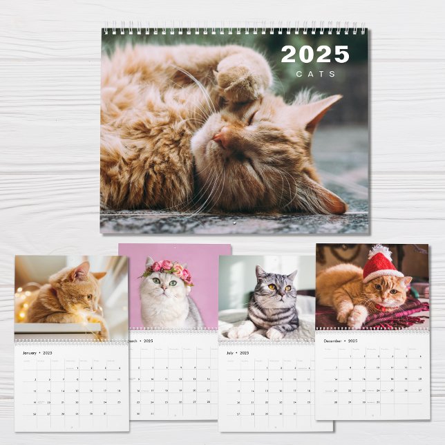 Calendario moderno de Collage de fotos de gatos 20 (Subido por el creador)