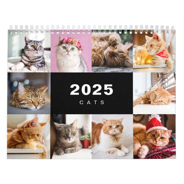 Calendario moderno de Collage de fotos de gatos 20 (Tapa)