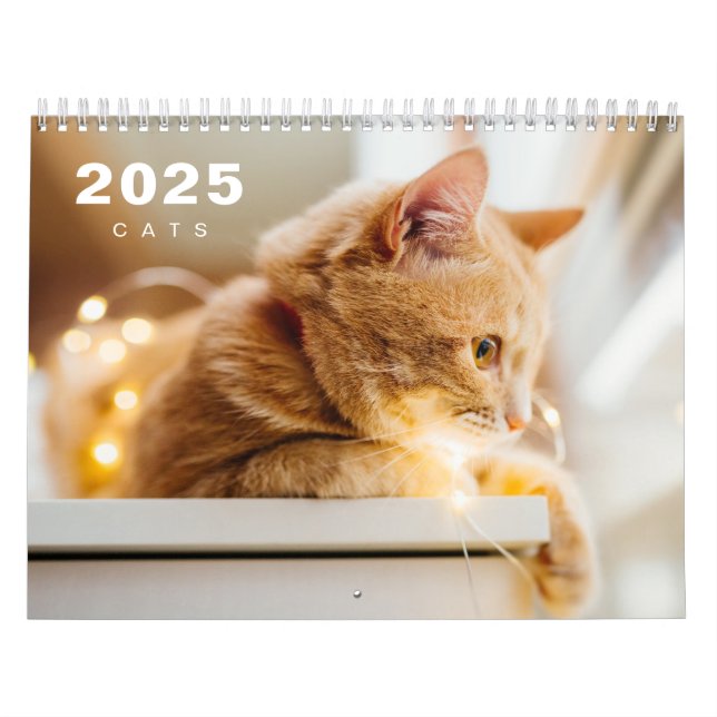 Calendario moderno de fotos de gatos 2025 (Tapa)