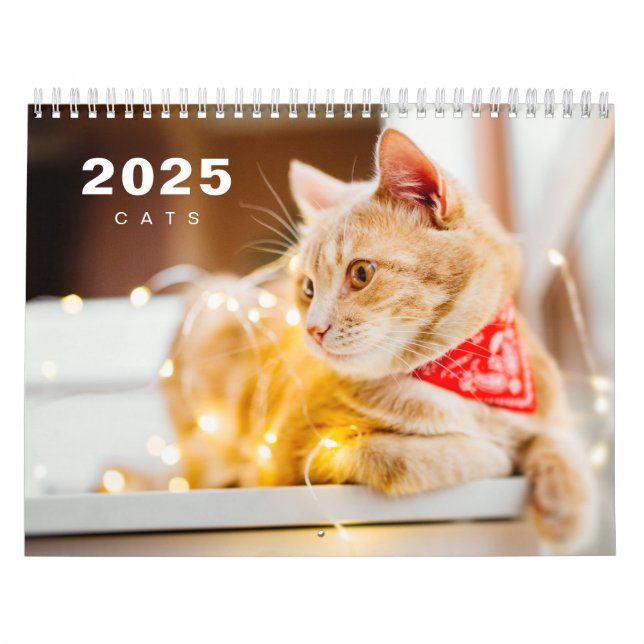 Calendario moderno de fotos de gatos 2025 (Tapa)