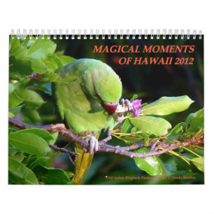 Calendario Momentos mágicos de Hawaii 2012