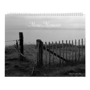 Calendario Momentos mono  