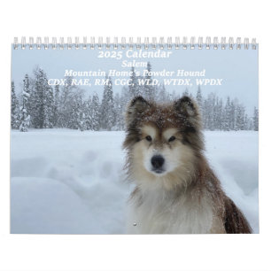 Calendario Montaña Home's Powder Hound CDX, RAE, RM, CGC, WL
