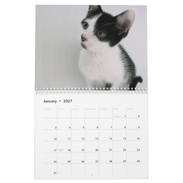 Calendario Mooki y Kiko (Jan 2027)