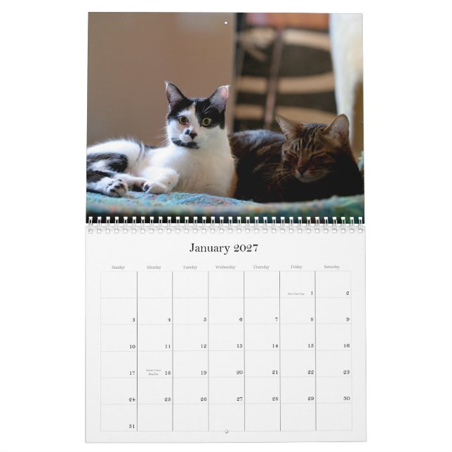 Calendario Mooki y Kiko 2009 (Jan 2027)