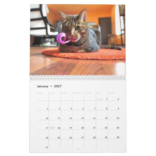 Calendario Mooki y Kiko 2010 (Jan 2027)