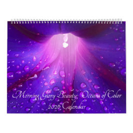 Calendario Morning Glory Beauty:  Oceans of Color 2026