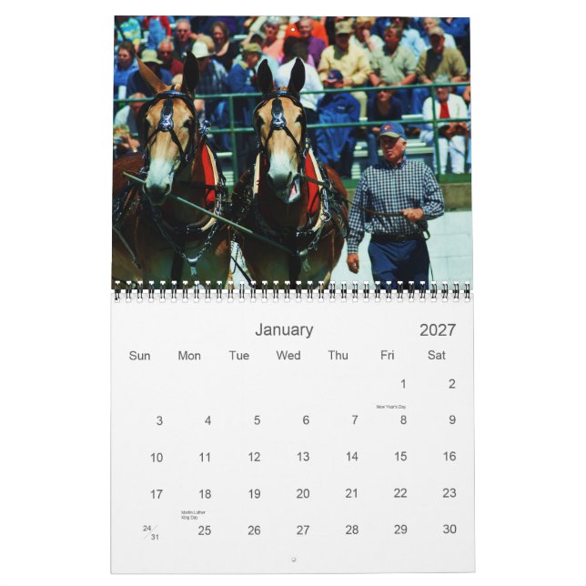 Calendario mulas y burros (Jan 2027)