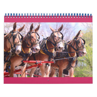 Calendario mulas y burros