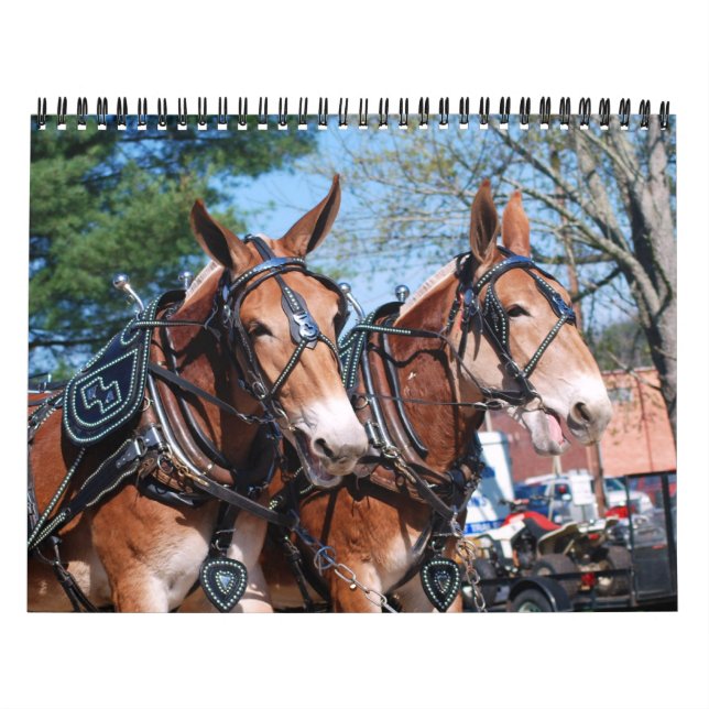 CALENDARIO MULE DAYS (Tapa)