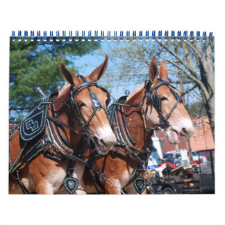 CALENDARIO MULE DAYS