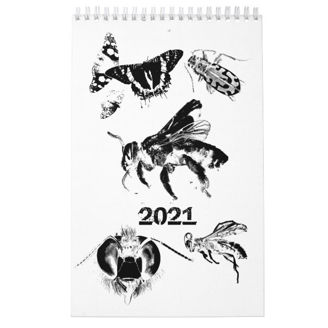 Calendario Mundo de los bugs - Insectos - 2022 (Tapa)