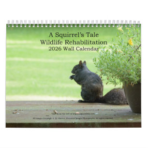 Calendario mural 2026: La historia de una ardilla