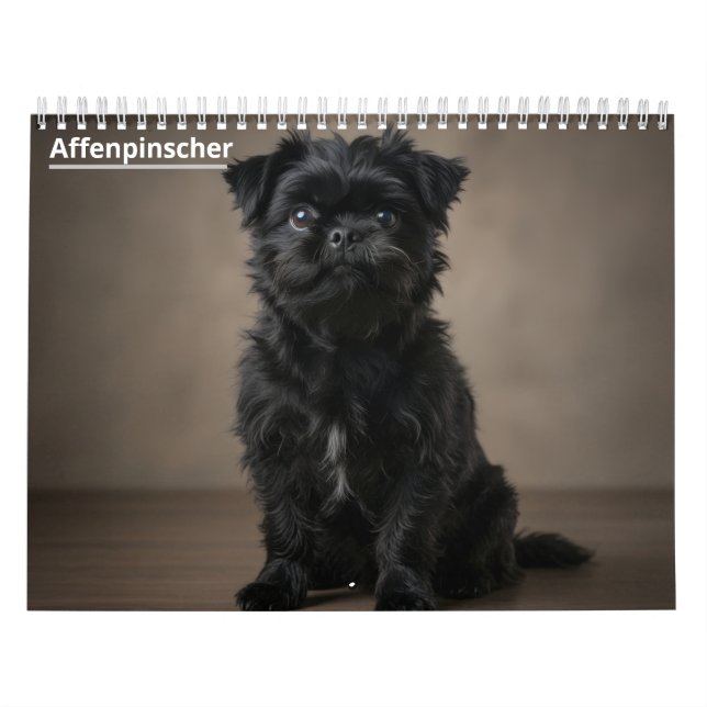 Calendario mural Affenpinscher 2027 (Tapa)