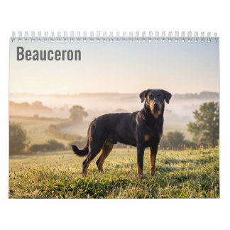 Calendario mural Beauceron 2027