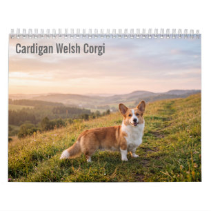 Calendario mural Cardigan Welsh Corgi 2027