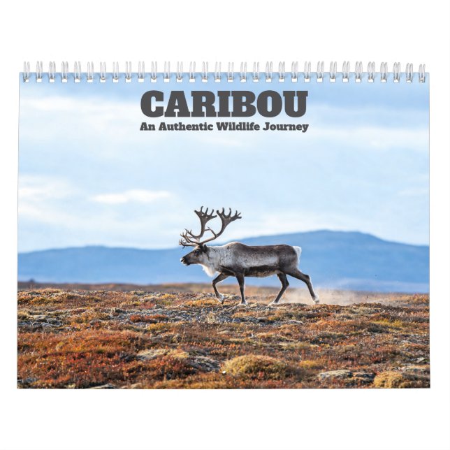 Calendario mural Caribú 2027 (Tapa)