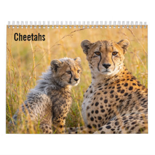 Calendario mural Cheetahs 2027