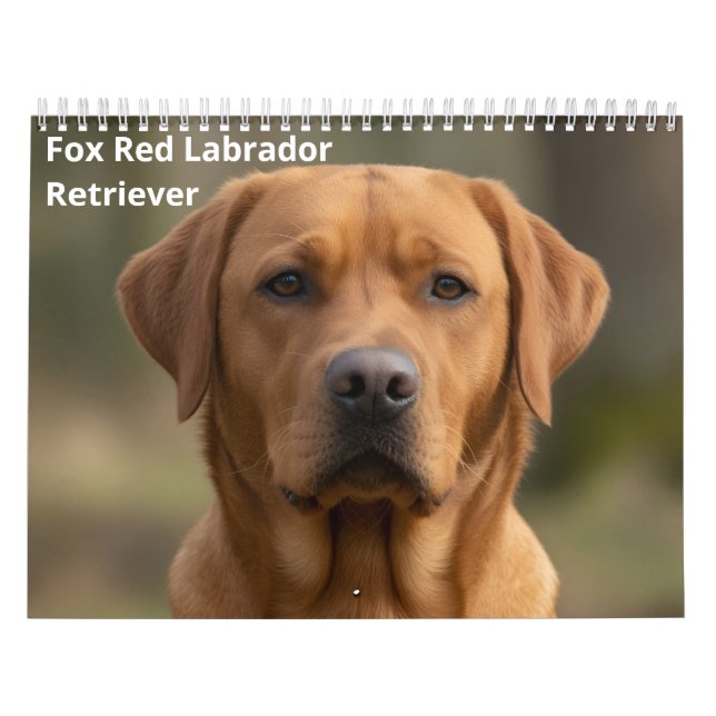 Calendario mural de Labrador Retriever rojo zorro  (Tapa)