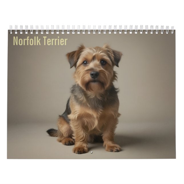 Calendario mural de Norfolk Terrier 2027 (Tapa)