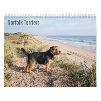 Calendario mural de Norfolk Terriers 2027