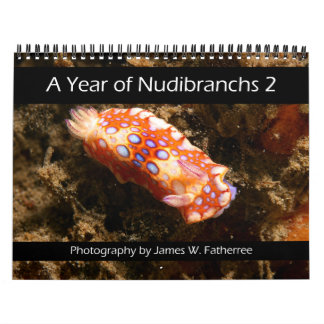 Calendario mural de Nudibranch 2 por J. Fatherree
