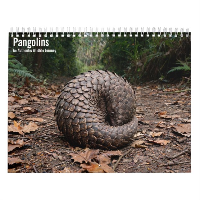 Calendario mural de Pangolines 2027 (Tapa)