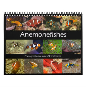 Calendario mural de peces payaso por J.W. Fatherre
