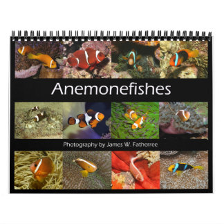 Calendario mural de peces payaso por J.W. Fatherre