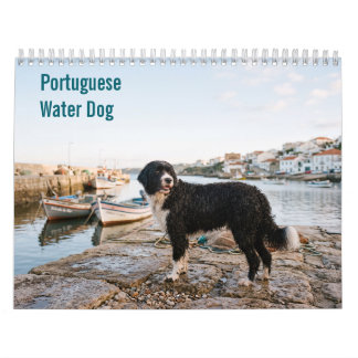 Calendario mural del Perro de Agua Portugués 2027