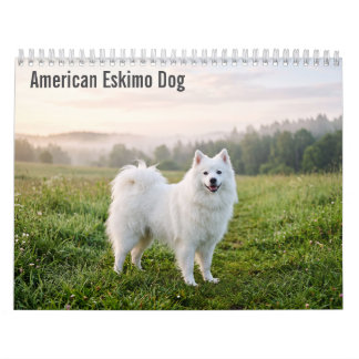Calendario mural del perro esquimal americano 2027