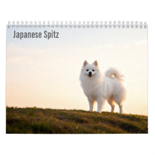 Calendario mural del Spitz japonés 2027