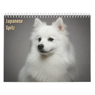 Calendario mural Japanese Spitz 2027