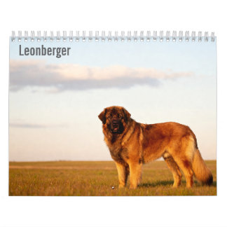 Calendario mural Leonberger 2027