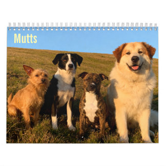 Calendario mural Mutts 2027