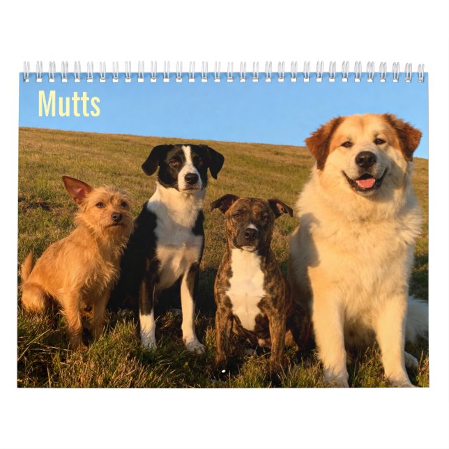 Calendario mural Mutts 2027 (Tapa)