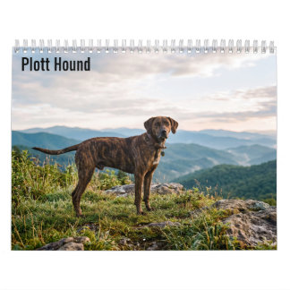 Calendario mural Plott Hound 2027