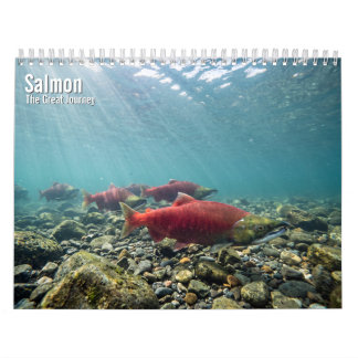 Calendario mural Salmón 2027