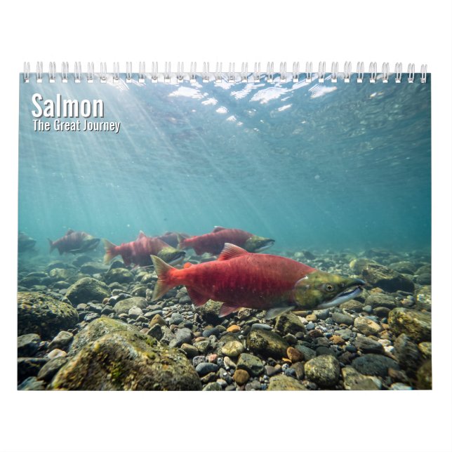 Calendario mural Salmón 2027 (Tapa)