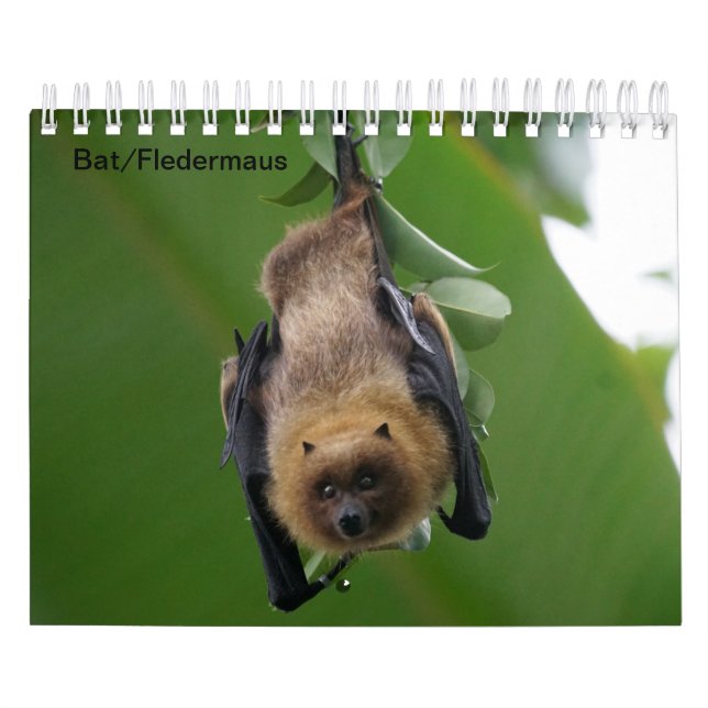 Calendario Murciélago pidió como calendario/ (Tapa)