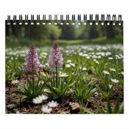 Calendario Muro escénico de 2025