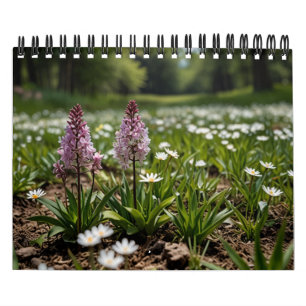 Calendario Muro escénico de 2025