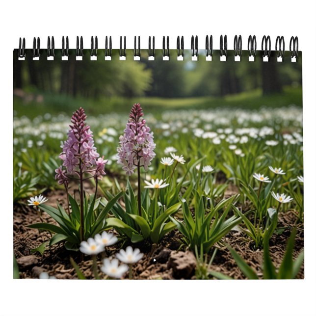 Calendario Muro escénico de 2025 (Tapa)