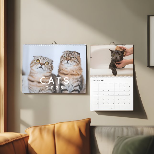 Calendario Muro fotográfico de gatos pequeños (Subido por el creador)