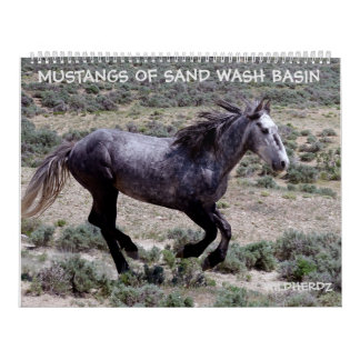 Calendario Mustangs of Sand Wash Basin Colorado