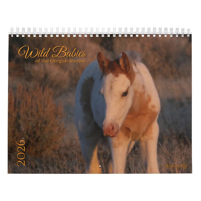 Calendario MustangWild 2026 "Wild Babies" Calendar (Tapa)