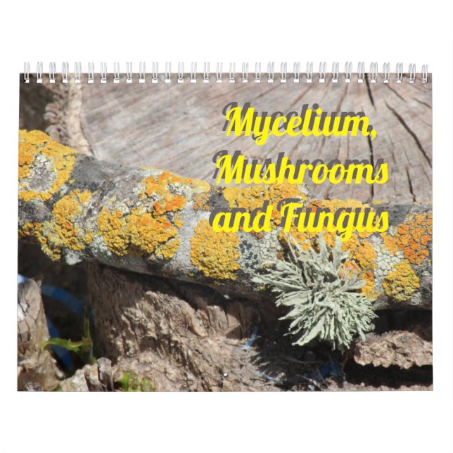 Calendario Mycelium, Mushrooms and Fungus (Tapa)