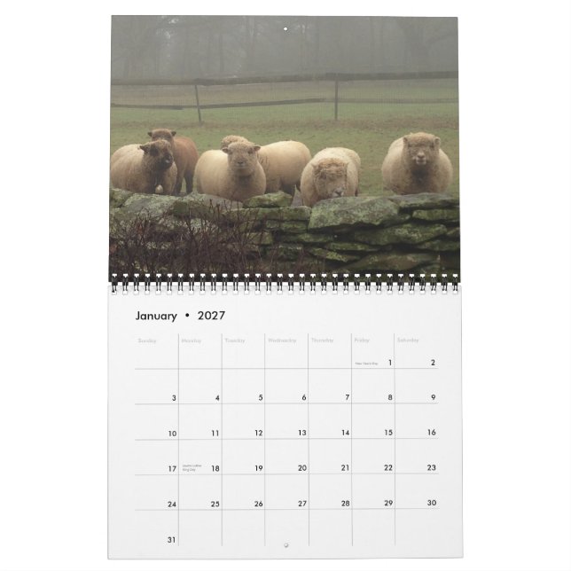 Calendario NABSSAR de Babydoll Southdown 2015 (Jan 2027)
