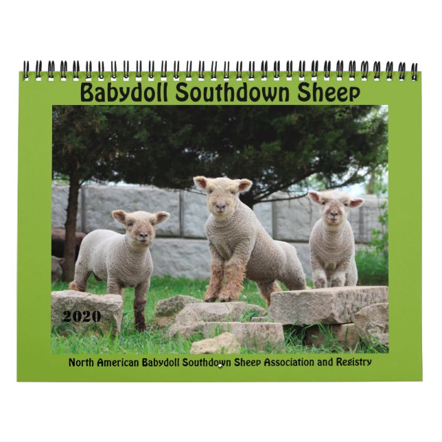 Calendario NABSSAR de Babydoll Southdown 2020 (Tapa)