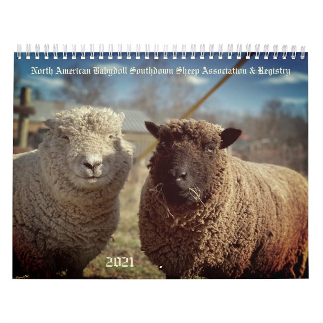 Calendario NABSSAR de Babydoll Southdown 2021 (Tapa)